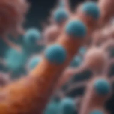 Microscopic Characteristics of Endocervical Cancer Microscopic view of endocervical cancer cells