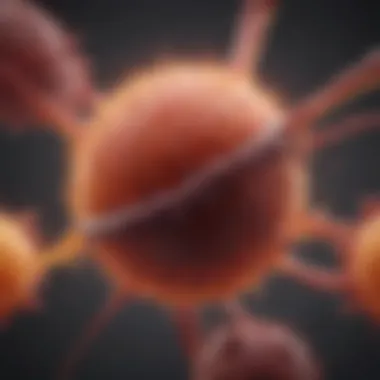 Understanding the Immune Response in Endometriosis Complex interplay of endometriosis and immune response