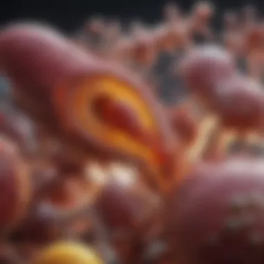 Biological Mechanisms Underlying Endometriosis Visual representation of biological mechanisms in endometriosis