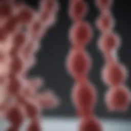 Advanced epigenetic markers in cancer diagnostics