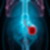 Erectile Dysfunction and Benign Prostatic Hyperplasia: Interrelations, Mechanisms, and Management Introduction
