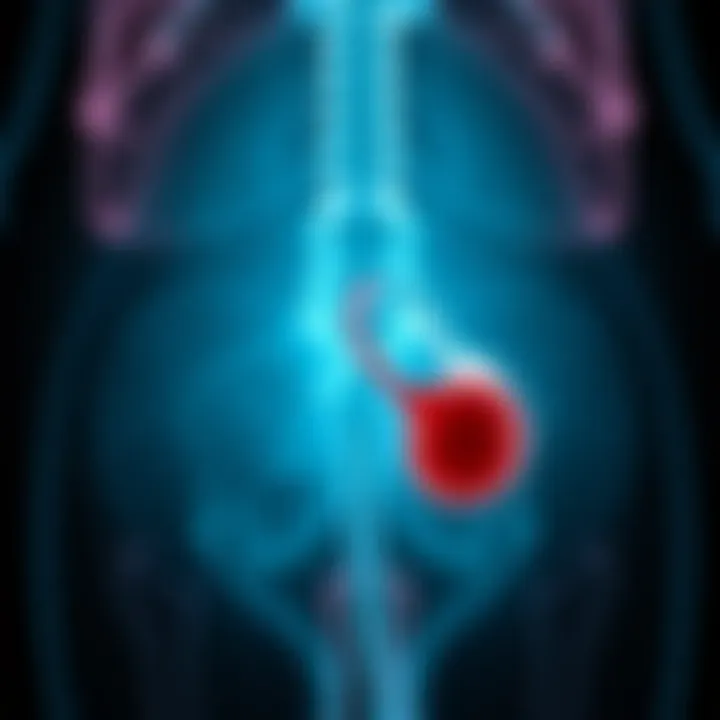 Erectile Dysfunction and Benign Prostatic Hyperplasia: Interrelations, Mechanisms, and Management Introduction