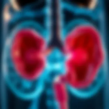 Erectile Dysfunction and Benign Prostatic Hyperplasia: Interrelations, Mechanisms, and Management Summary Erectile Dysfunction and Benign Prostatic Hyperplasia: Interrelations, Mechanisms, and Management Summary