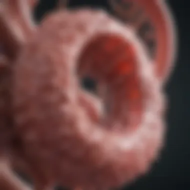Diagnostic Approaches for Glomerular Issues Visual representation of diagnostic methods for glomerular issues