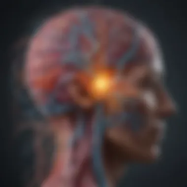 Understanding Neurological Pathways Graphical representation of neurological pathways affected by disorders
