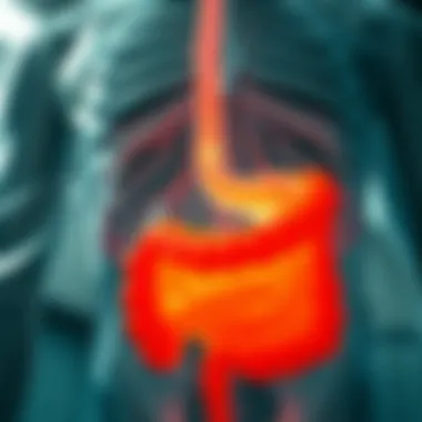 Notable Exploring Alternative Colon Cancer Treatment Options Notable Exploring Alternative Colon Cancer Treatment Options