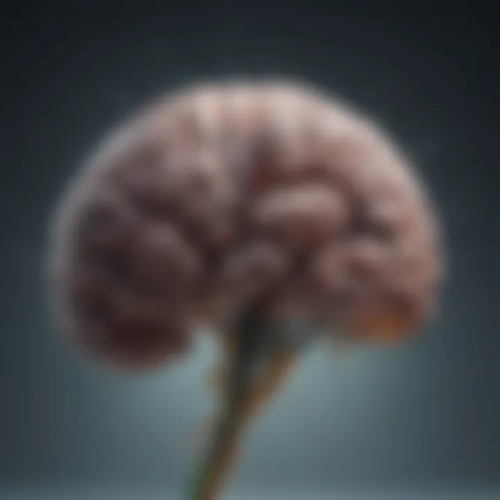 Brain activity and CBD interaction