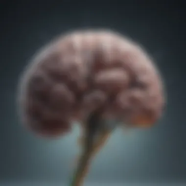 Brain Activity in Response to CBD Brain activity and CBD interaction