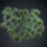 Cannabidiol molecule structure