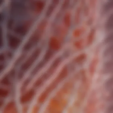 Collagen Structure and Its Importance Intricate diagram illustrating collagen structure and its role in skin health