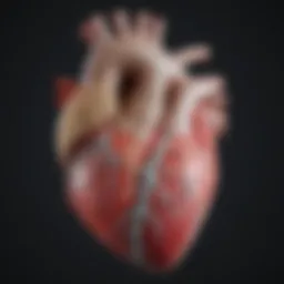 Parasternal long-axis view of the heart