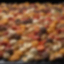 An artistic arrangement of various food textures showcasing smooth, crunchy, and creamy elements.