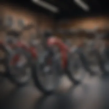 Diversity in Design: A Showcase of Hybrid Handcycle Models A diverse range of hybrid handcycle models displayed in a showroom