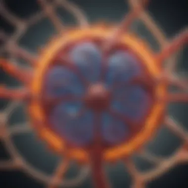 Regenerative Medicine in CKD Visual representation of regenerative medicine in CKD