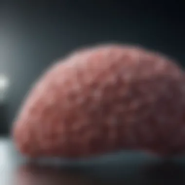 Innovative therapies for lung cancer management Advancements in treatment methods