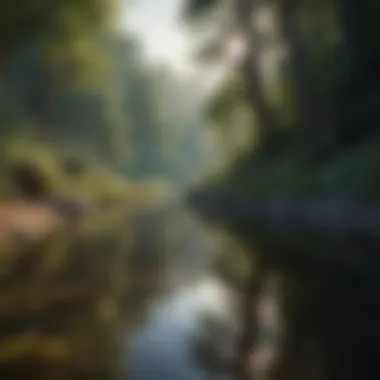 Tranquil Landscape Reflecting Mindfulness A serene landscape illustrating tranquility associated with mindfulness
