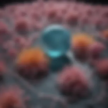 Future Advancements in Biophysical Techniques Future outlook on the advancements in biophysical techniques like octet biolayer interferometry