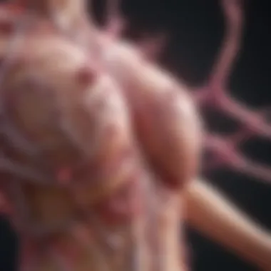 Pathways of Breast Cancer Metastasis Diagram illustrating the pathways of breast cancer metastasis