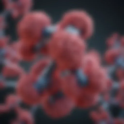 Illustration of immunoglobulin G structure