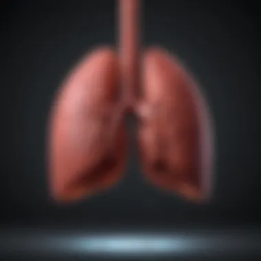 Impact of Lifestyle on Liver Health Graph depicting lifestyle factors affecting liver health