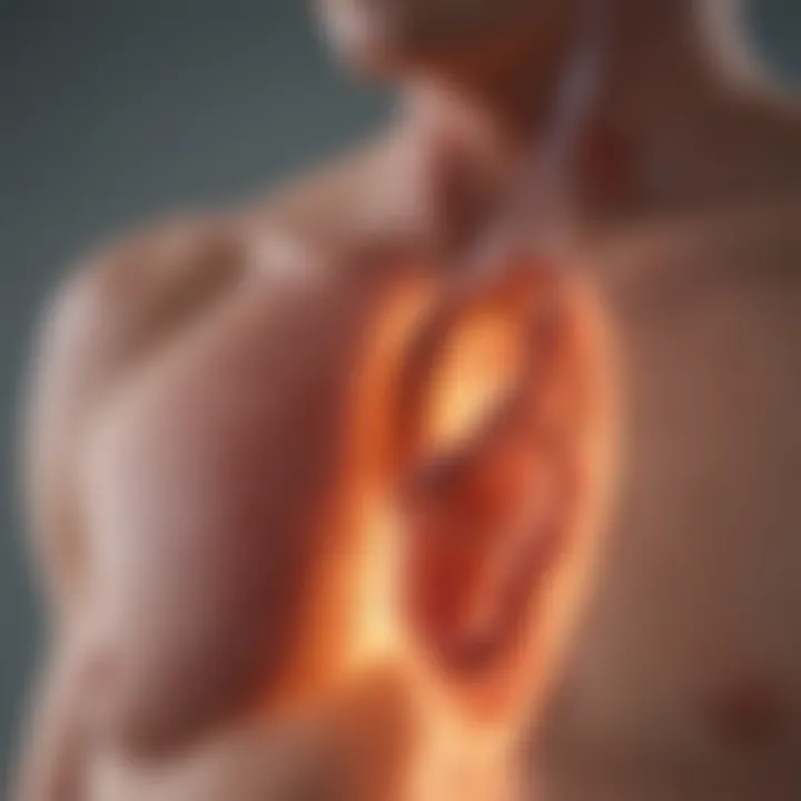 Diagram showing common medical conditions linked to liver enzyme elevation