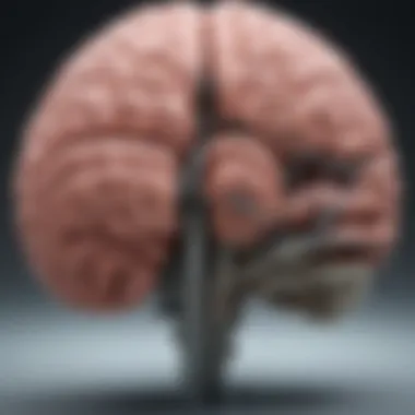 Key Structures of the Cognitive Brain Diagram illustrating the cognitive brain's key structures