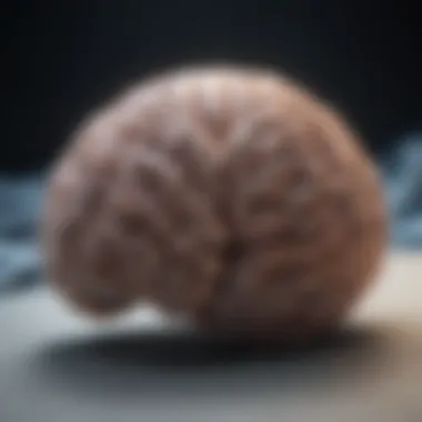 Brain Activity during Deep Sleep Visual depiction of the brain during restorative sleep stages