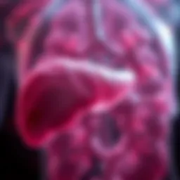 Exploring the Complexity of Hepatic Neoplasms Introduction