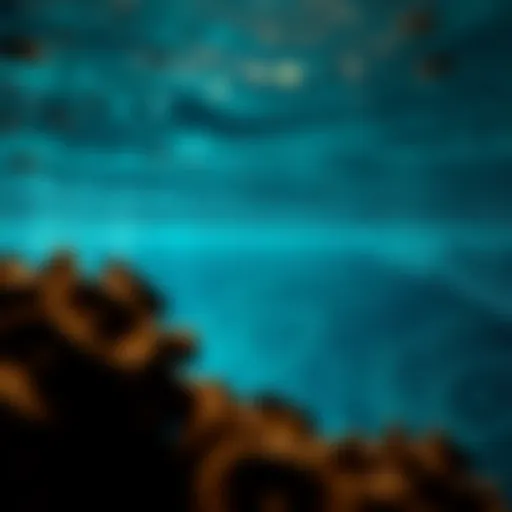 Exploring the Depths: A Comprehensive Analysis of Seafloor Mining Introduction