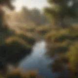 A serene wetland teeming with various bird species