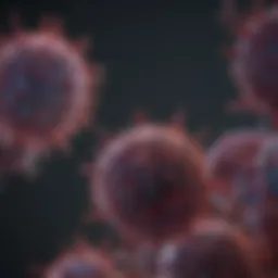 Exploring the Interplay Between CD3 and T Cell Receptor Functionality Introduction