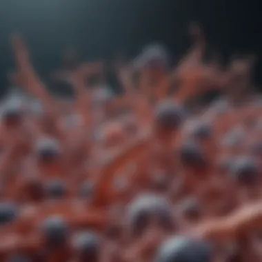 Exploring the Role of Rab25 Antibody in Cellular Biology Introduction Exploring the Role of Rab25 Antibody in Cellular Biology Introduction