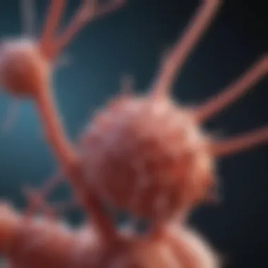 Notable Exploring the Role of Rab25 Antibody in Cellular Biology Notable Exploring the Role of Rab25 Antibody in Cellular Biology