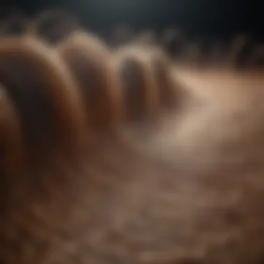 Visual Representation of Tinnitus Sound Waves Sound waves illustrating tinnitus frequency