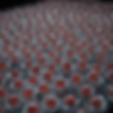 Notable Exploring U937 Cells: Characteristics, Applications, and Implications in Research Notable Exploring U937 Cells: Characteristics, Applications, and Implications in Research
