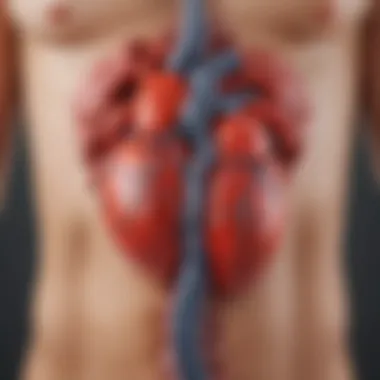 Physiological Link Between Kidneys and Heart Health Illustration depicting the physiological link between kidney function and heart health