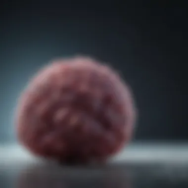 Future Strategies for CAR T-cell Therapy Future strategies for CAR T-cell therapy in glioblastoma