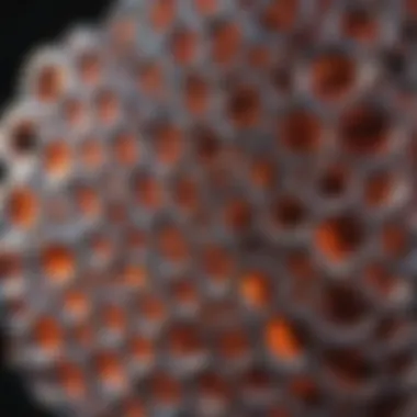 Unique Lattice Arrangement of h-BN Crystal structure of hexagonal boron nitride highlighting its unique lattice arrangement