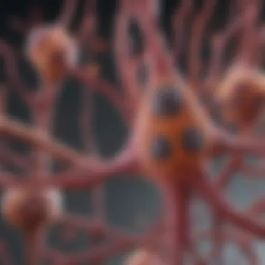 Composition of Conditioned Media Composition analysis of stem cell conditioned media