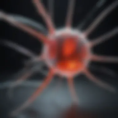 Future Directions in Stem Cell Research Future directions in stem cell research