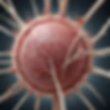 Applications in Regenerative Medicine Graphical illustration of regenerative medicine applications