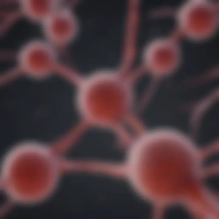 Schematic representation of stem cell signaling pathways