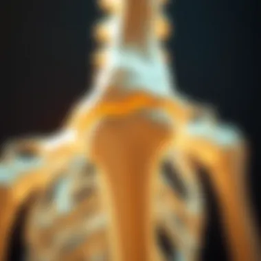 Notable In-Depth Exploration of Osteoporosis Research Notable In-Depth Exploration of Osteoporosis Research