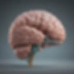 An illustration depicting the brain's areas affected by cerebral palsy.