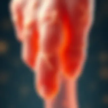 Notable Lidocaine for Neuropathy: Exploring Efficacy, Mechanisms, and Therapeutic Approaches Notable Lidocaine for Neuropathy: Exploring Efficacy, Mechanisms, and Therapeutic Approaches