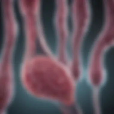 Liquid Biopsy Technology in Oncology Conceptual representation of liquid biopsy technology