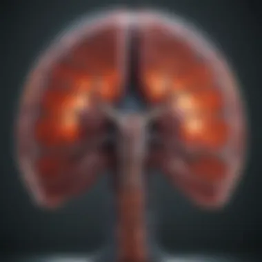 MRI Imaging for Liver Disease Detection MRI scan displaying liver abnormalities