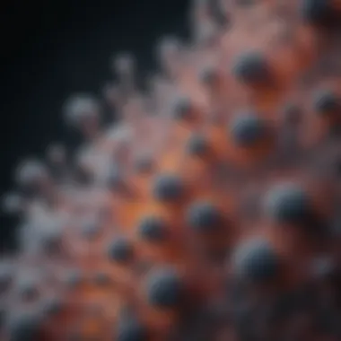 Microscopic Examination of Lung Melanoma Cells Microscopic view of lung melanoma cells