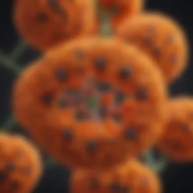 Lutein Molecular Structure Molecular structure of lutein illustrating its chemical composition.