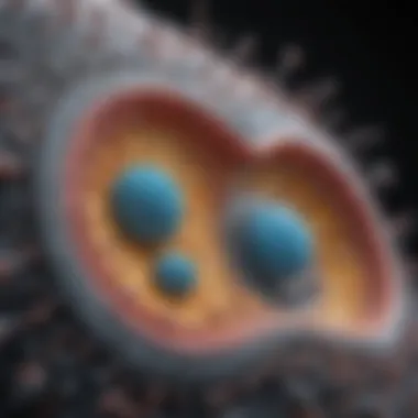 Diagram showing cellular functions related to membrane integrity